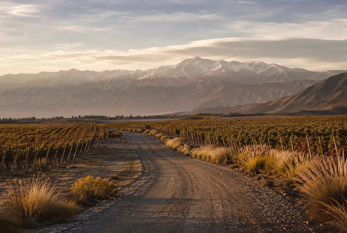 Ruta de montaña y viñedo para una experiencia privada en Valle de Uco.